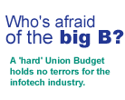 A 'hard' Union Budget holds no terrors for the infotech industry.