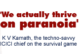 ICICI chief K V Kamath on the survival game