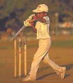 A young cricketer