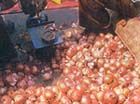 Onion crisis of 1998 underlined the need for efficient supply chain management