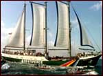 Click for a bigger image: Greenpeace vessel Rainbow Warrior off the Madras coast