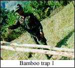 Bamboo trap # 1